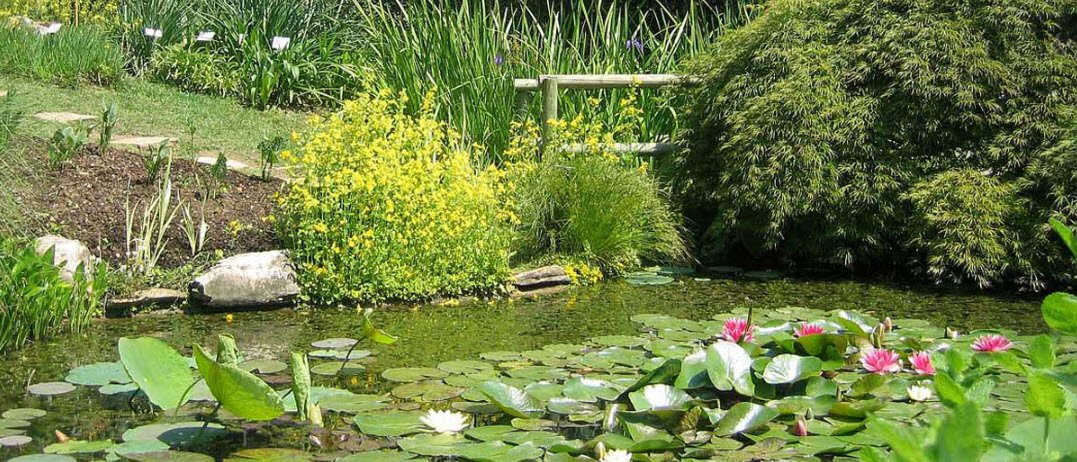 Bergamo Botanical Garden "Lorenzo Rota", Bergamo, Italy, Italy